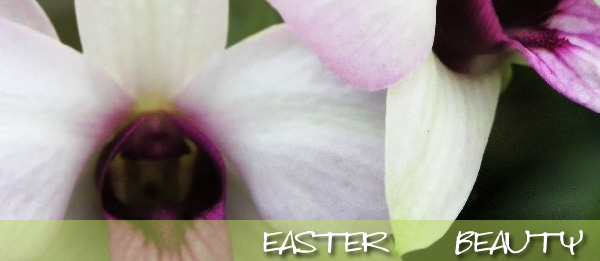 From fresh flowers to roses and much more, Roses and More Florist delivers beautiful flowers daily throughout Dallas