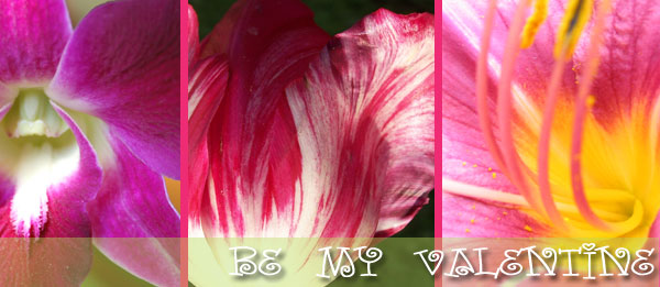 From fresh flowers to roses and much more, Roses and More Florist delivers beautiful flowers daily throughout Dallas