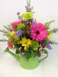 Sprinkle of Spring - Sold Out from Roses and More Florist in Dallas, TX