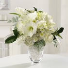 /images/jheveryday/EV044-11lg.jpg