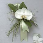 /images/jhwedding/EV120-12lg.jpg