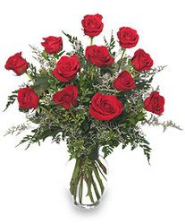 Red Rose SPECIAL from Roses and More Florist in Dallas, TX