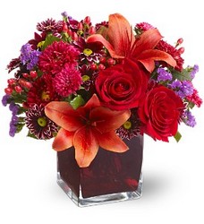Autumn Grace from Roses and More Florist in Dallas, TX