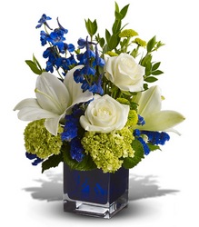 Serenade in Blue from Roses and More Florist in Dallas, TX