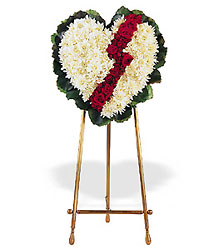 Broken Heart from Roses and More Florist in Dallas, TX