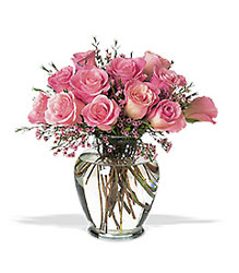 Pretty Pink Roses