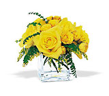 Yellow Rose Bravo! from Roses and More Florist in Dallas, TX