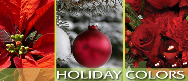 From fresh flowers to roses and much more, Roses and More Florist delivers beautiful flowers daily throughout Dallas