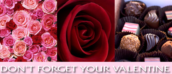 From fresh flowers to roses and much more, Roses and More Florist delivers beautiful flowers daily throughout Dallas