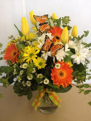 Butterfly Kisses from Roses and More Florist in Dallas, TX