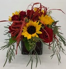 Country Charm - SEPTEMBER SPECIAL! from Roses and More Florist in Dallas, TX