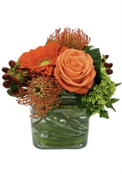 Dazzling Delight from Roses and More Florist in Dallas, TX