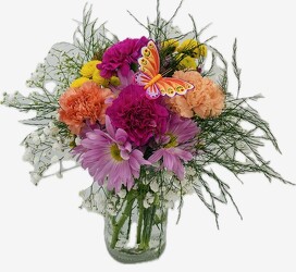 Butterfly & Blossoms from Roses and More Florist in Dallas, TX