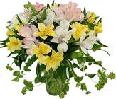 Lovely Little Lilies from Roses and More Florist in Dallas, TX