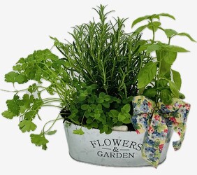 Herb Garden from Roses and More Florist in Dallas, TX