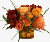 Outrageously  Orange