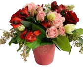 Splash of Love from Roses and More Florist in Dallas, TX