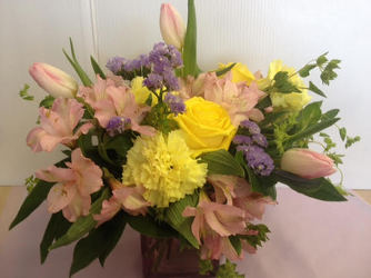 Positively Pastels from Roses and More Florist in Dallas, TX