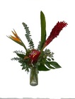 Tahitian Treat from Roses and More Florist in Dallas, TX