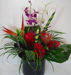 Isla Bella from Roses and More Florist in Dallas, TX