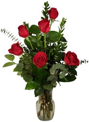 Half Dozen Roses from Roses and More Florist in Dallas, TX