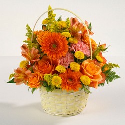 Sunshine Surprise from Roses and More Florist in Dallas, TX