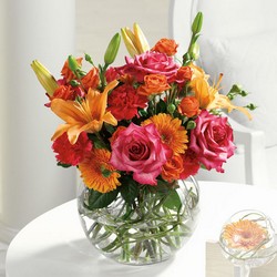 Bowl of Beauty from Roses and More Florist in Dallas, TX