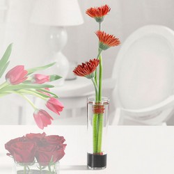 Spider Gerberas in Bud Vase from Roses and More Florist in Dallas, TX