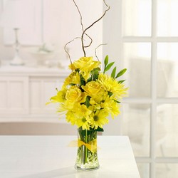 Sunshine Sparkle from Roses and More Florist in Dallas, TX