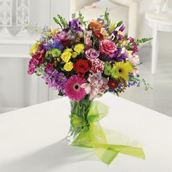 Simply Sensational from Roses and More Florist in Dallas, TX