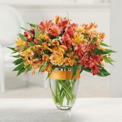 Awesome Alstroemeria - October Special! from Roses and More Florist in Dallas, TX