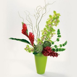 Ginger Surprise from Roses and More Florist in Dallas, TX