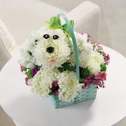 Precious Poodle from Roses and More Florist in Dallas, TX