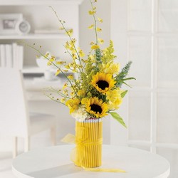 Write On! from Roses and More Florist in Dallas, TX