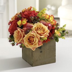 Happy Harvest from Roses and More Florist in Dallas, TX