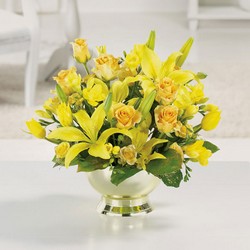 Golden Anniversary from Roses and More Florist in Dallas, TX