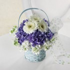 Baby Blue Basket from Roses and More Florist in Dallas, TX