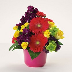 Bowl of Bright Wishes from Roses and More Florist in Dallas, TX