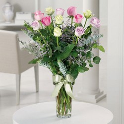 Mixed Dozen from Roses and More Florist in Dallas, TX