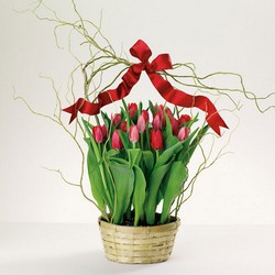 Totally Tulips from Roses and More Florist in Dallas, TX