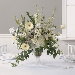 Wonderous White Centerpiece from Roses and More Florist in Dallas, TX