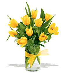 Cheerful Tulips ( several colors available) from Roses and More Florist in Dallas, TX