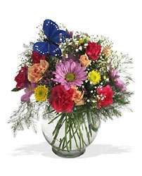 Butterfly & Blossoms Vase from Roses and More Florist in Dallas, TX