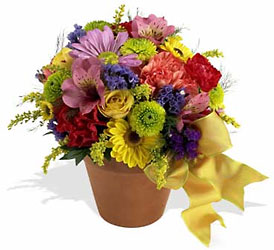 Fresh Blossom Potpourri from Roses and More Florist in Dallas, TX