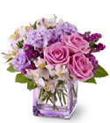 Beautiful Day from Roses and More Florist in Dallas, TX