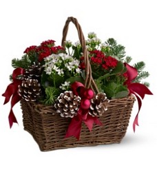 Christmas Garden Basket from Roses and More Florist in Dallas, TX