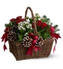 Christmas Garden Basket from Roses and More Florist in Dallas, TX