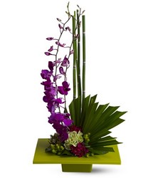 Zen Artistry from Roses and More Florist in Dallas, TX