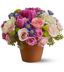 Spring Sonata from Roses and More Florist in Dallas, TX