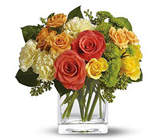 Citrus Splash from Roses and More Florist in Dallas, TX